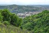 Vue sur le Rhìne depuis le Pilat